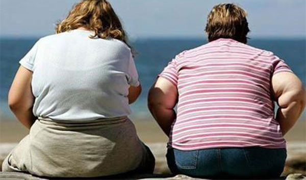 ����ɱ��������� ���ֺȶ��˻�����